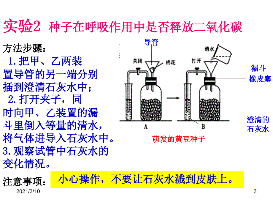 绿色植物吸入氧气呼出二氧化碳_第3页