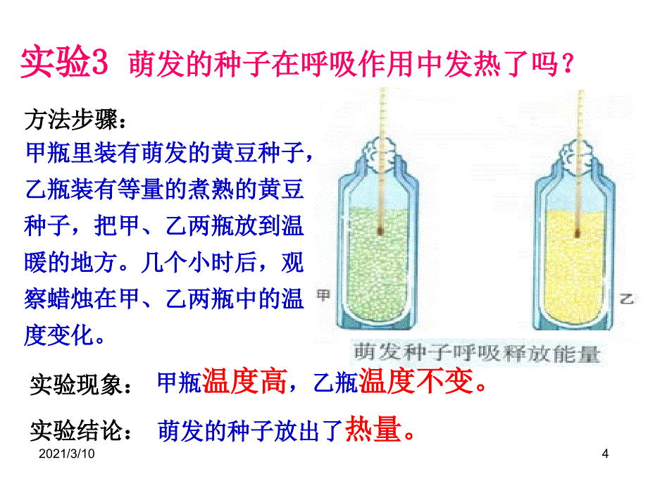 绿色植物吸入氧气呼出二氧化碳_第4页