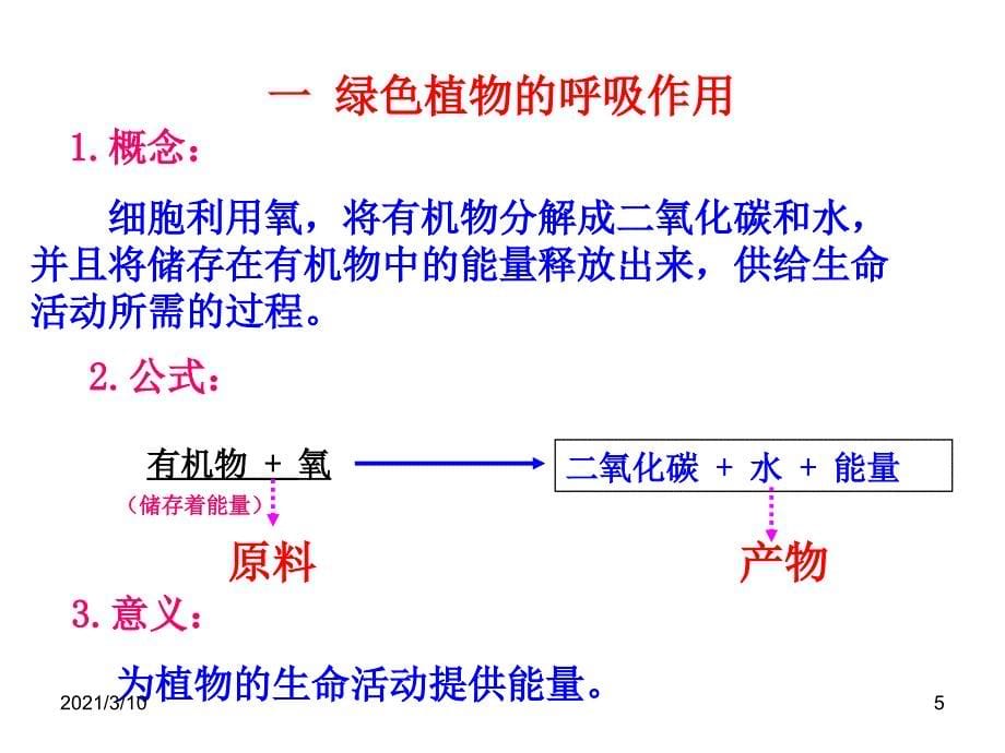 绿色植物吸入氧气呼出二氧化碳_第5页