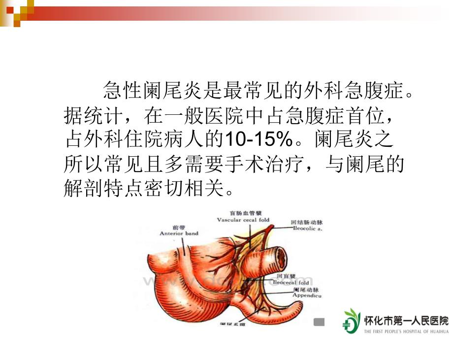 急性阑尾炎的CT诊断 PPT课件.ppt_第3页