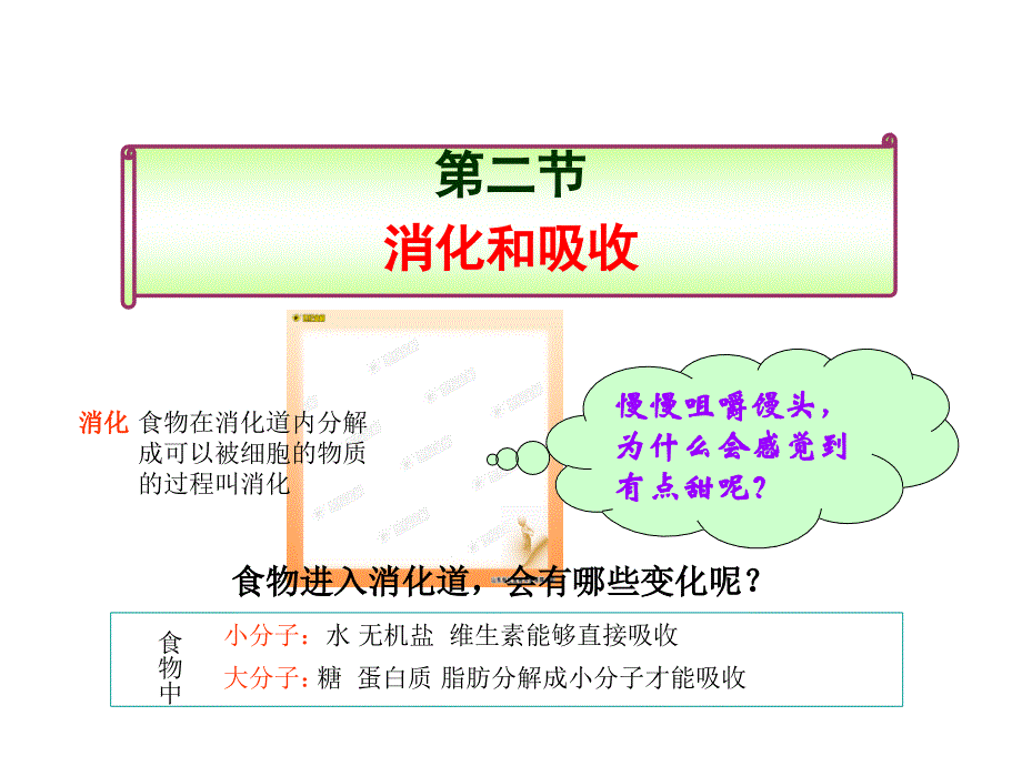 冀教版科学六下消化与吸收课件1_第1页