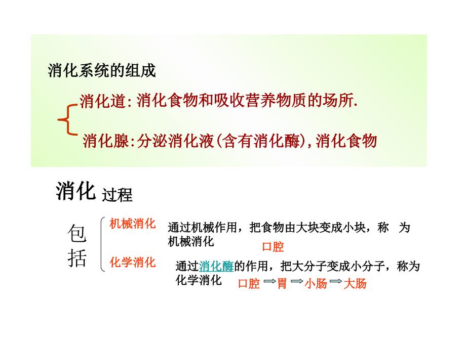 冀教版科学六下消化与吸收课件1_第3页