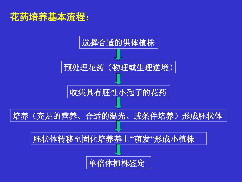 植物花药培养及单倍体植株鉴定-2015资料_第4页