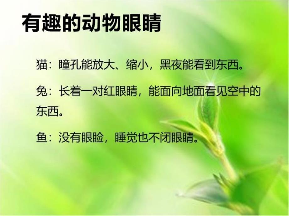 保护眼睛的重要性教学内容_第4页