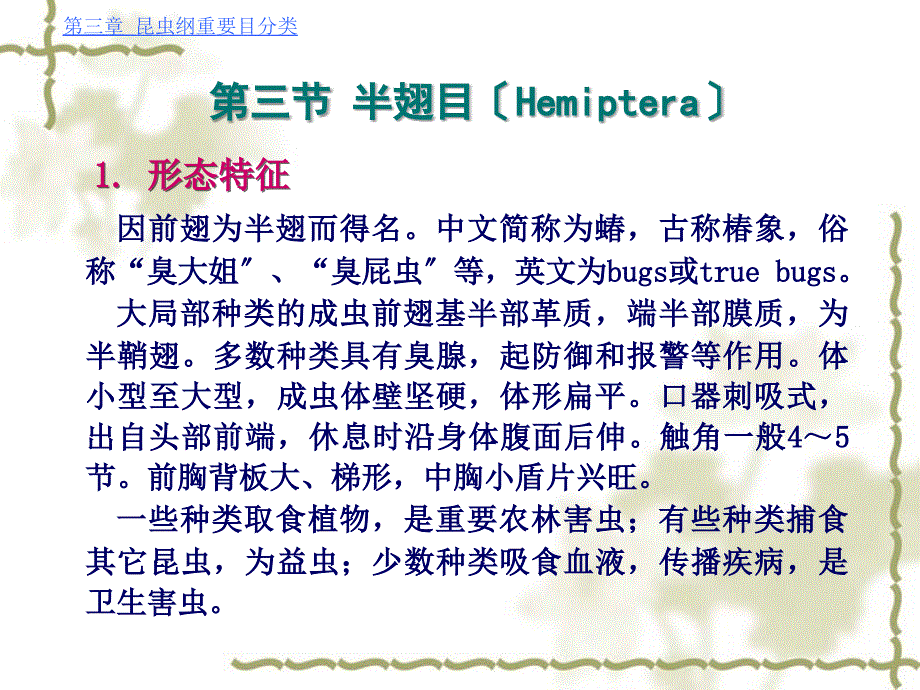 第三节 半翅目(hemiptera)【-】_第1页