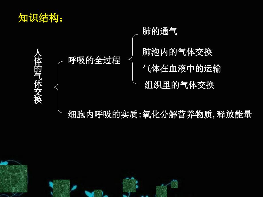 3.2-发生在肺内的气体交换-七年级下册-人教版-PPT优秀课件_第2页