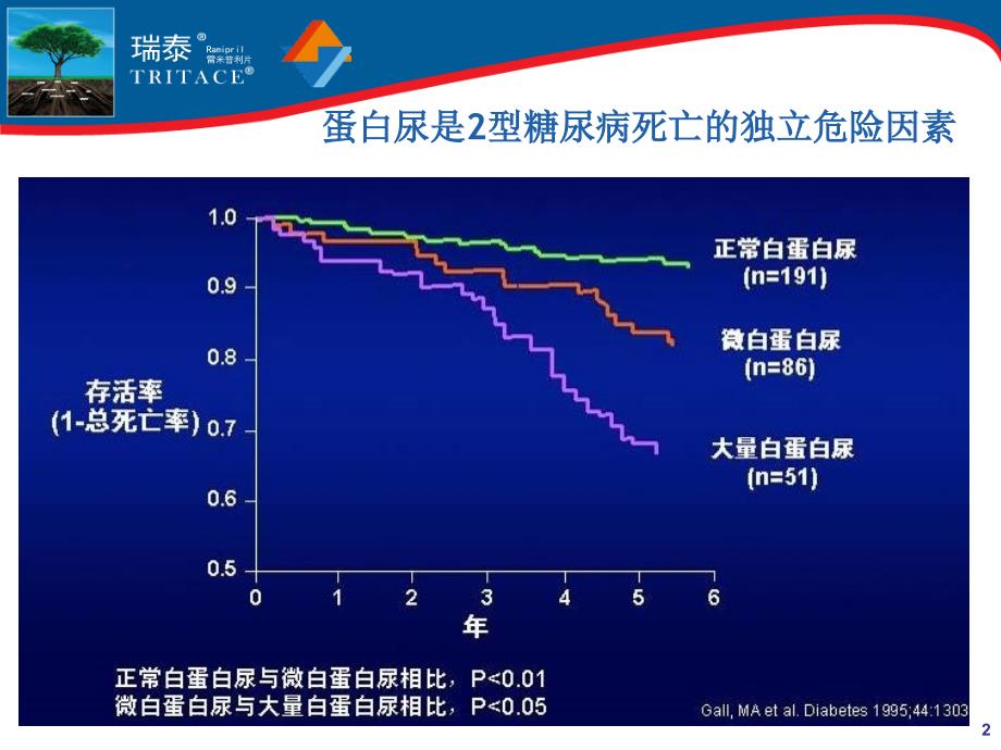 从肾科角度看ACEI的临床应用PPT课件_第2页