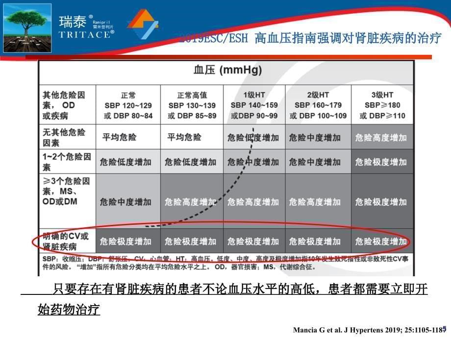 从肾科角度看ACEI的临床应用PPT课件_第5页