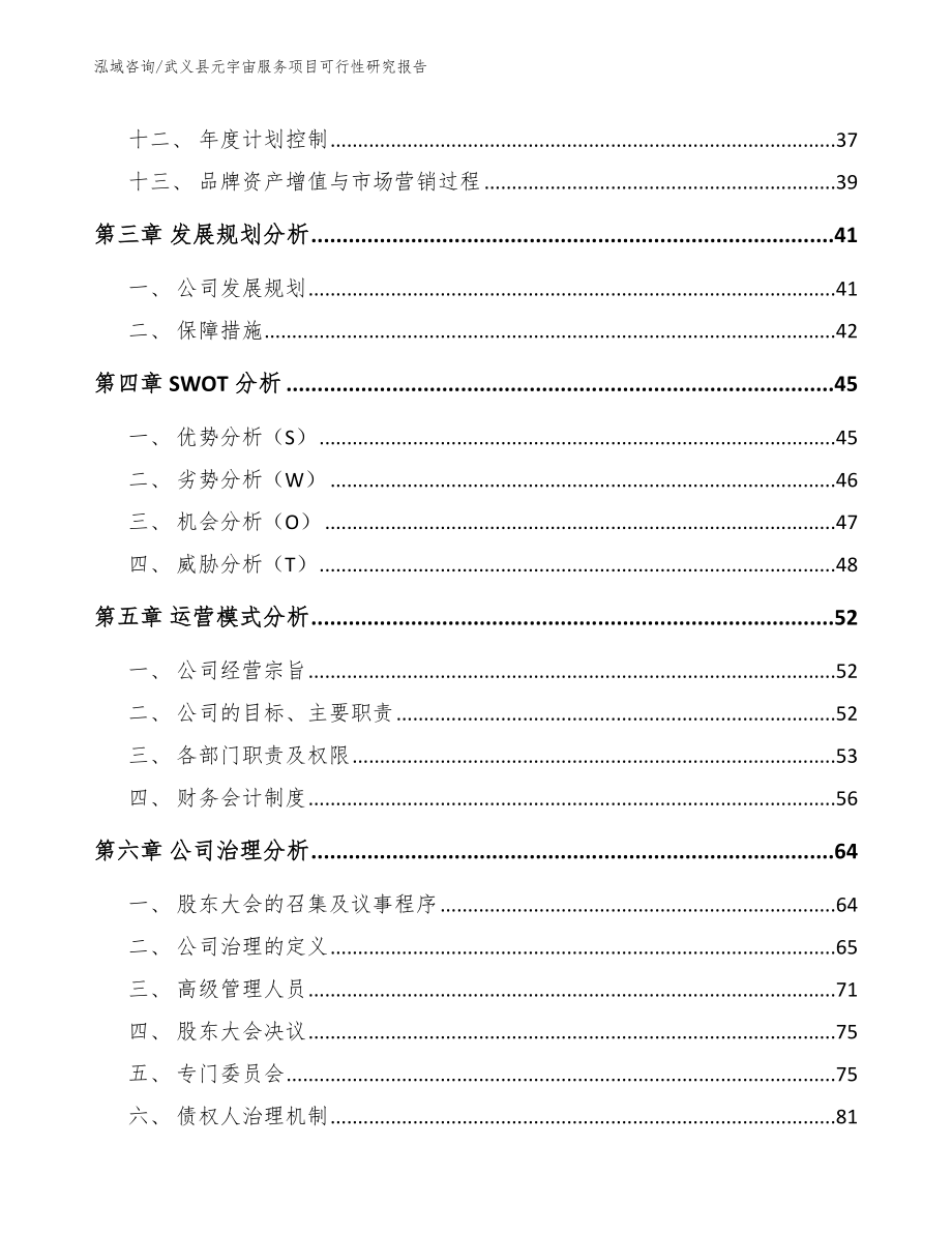 武义县元宇宙服务项目可行性研究报告模板参考_第2页