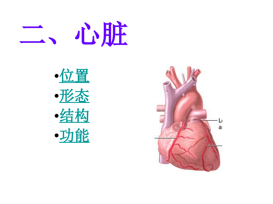 位置形态结构功能_第1页