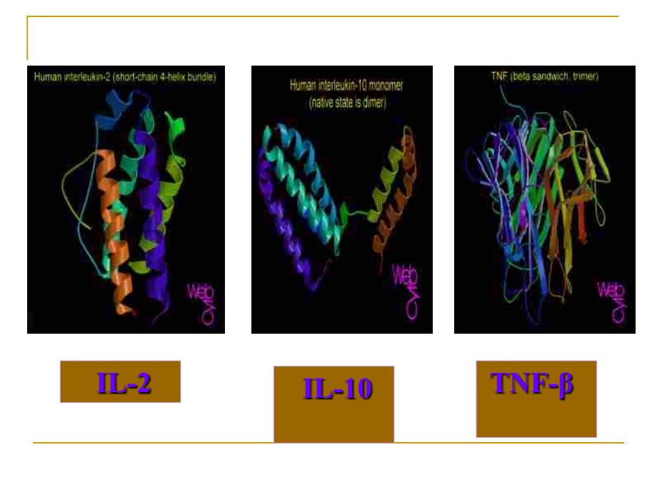 第六章细胞因子NXPowerLite_第3页