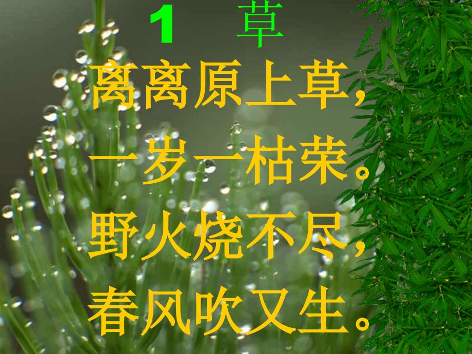 古诗草PPT课件_第1页