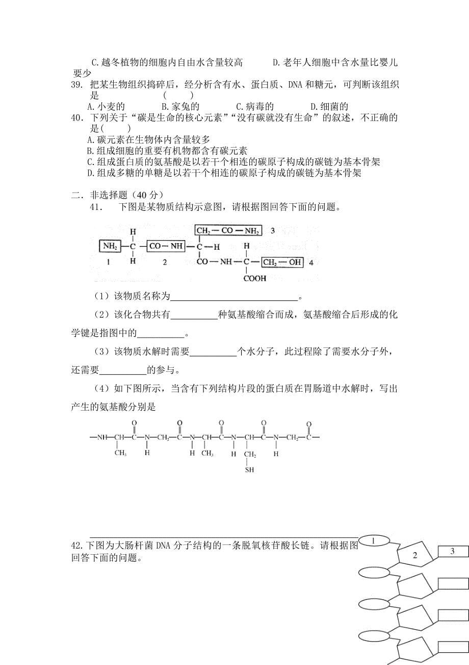 高一生物必修1第二章测试题及答案.doc_第5页