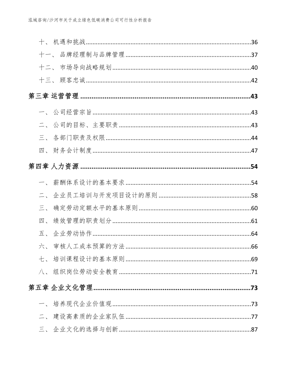 沙河市关于成立绿色低碳消费公司可行性分析报告_第2页