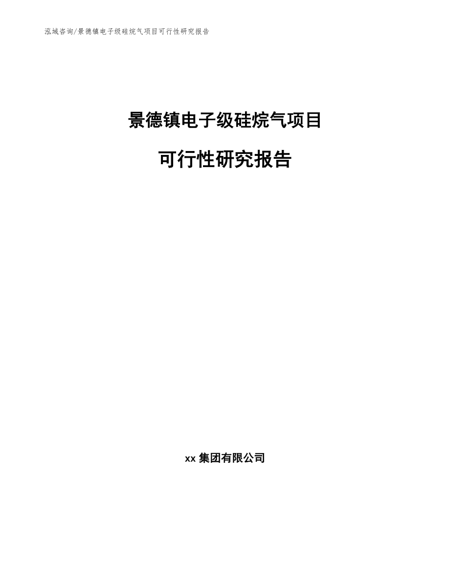 景德镇电子级硅烷气项目可行性研究报告【模板范本】_第1页