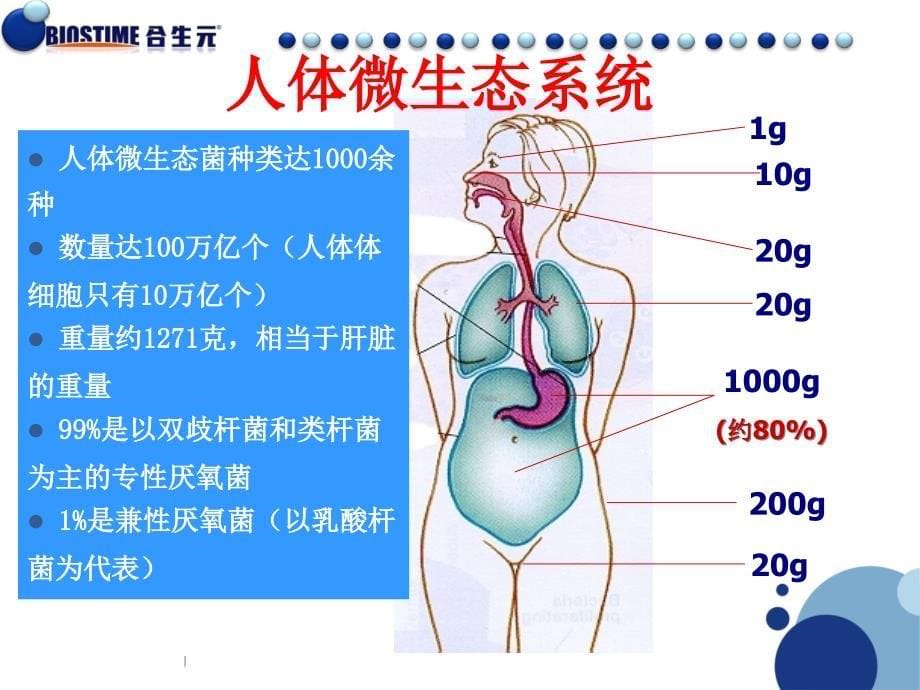 益生菌产品知识PPT专业版V1.0_第5页