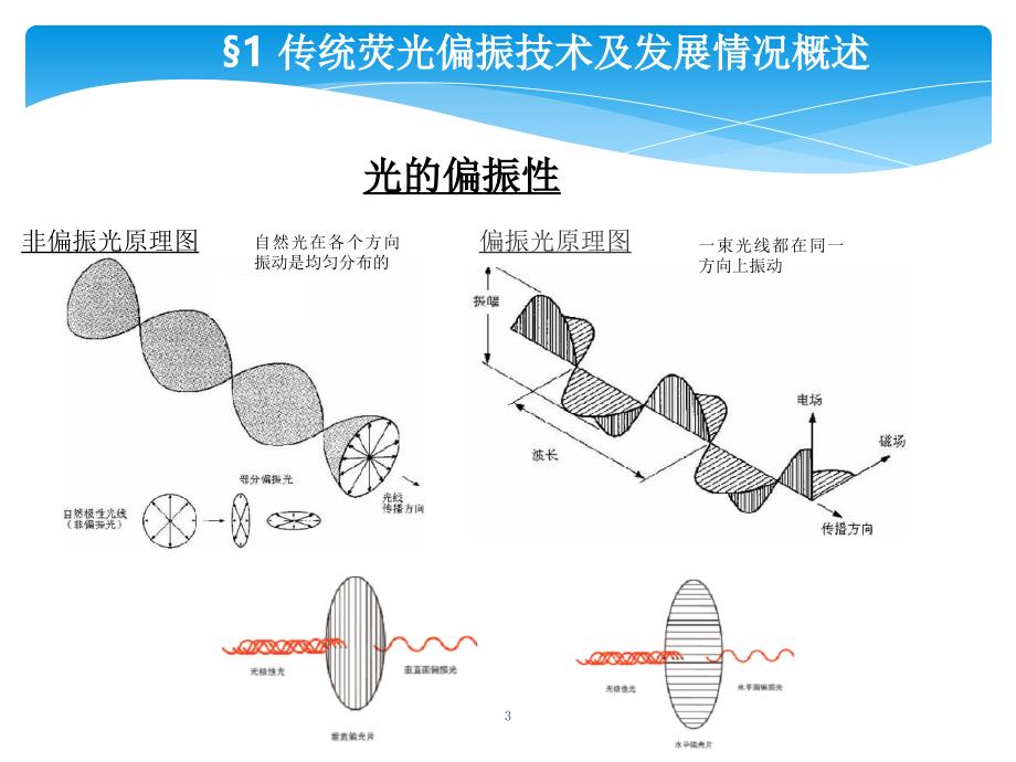 荧光偏振技术原理优秀课件_第3页