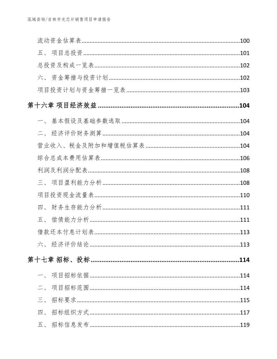 吉林市光芯片销售项目申请报告（范文）_第5页