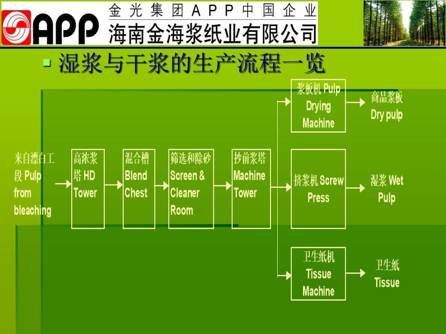 湿浆与干浆的性能对比报告课件_第2页