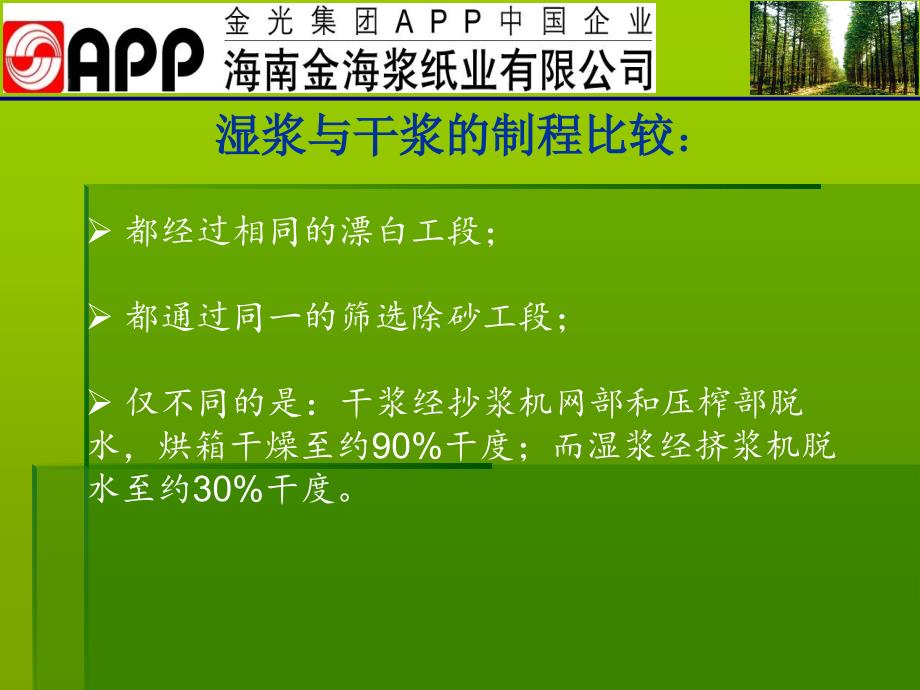 湿浆与干浆的性能对比报告课件_第3页