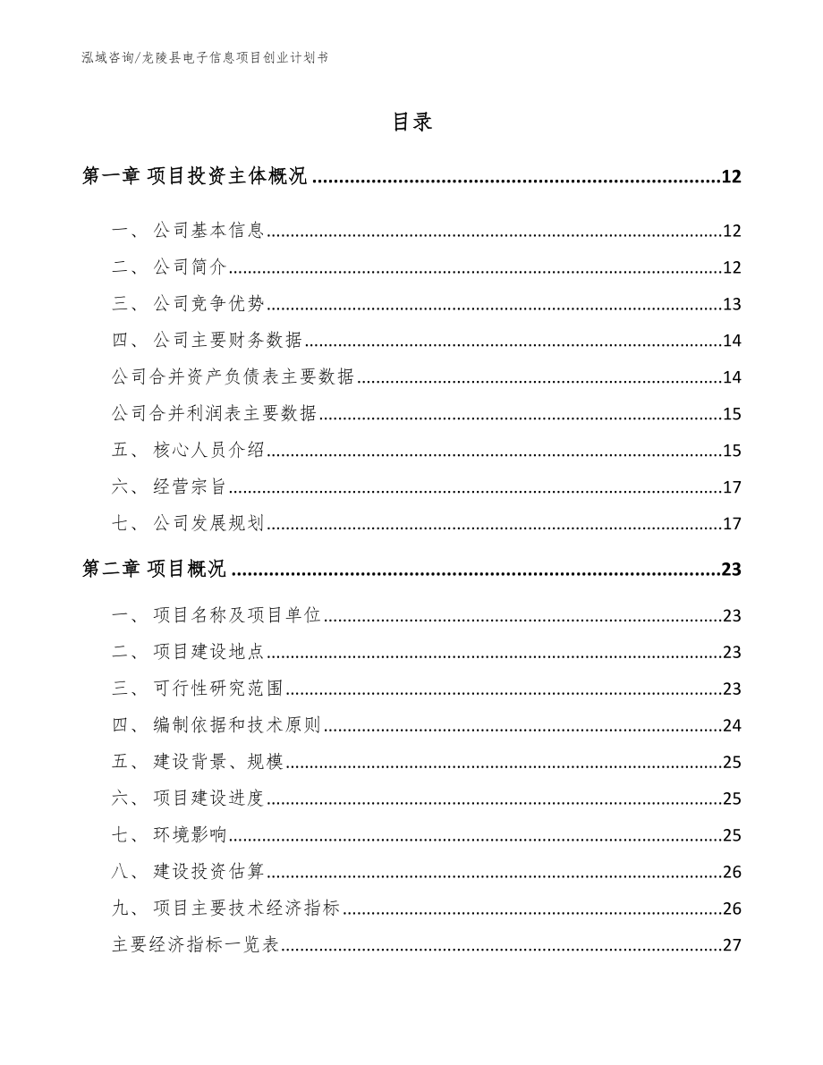 龙陵县电子信息项目创业计划书_第2页