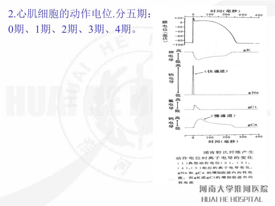 电源及电穴概念_第4页