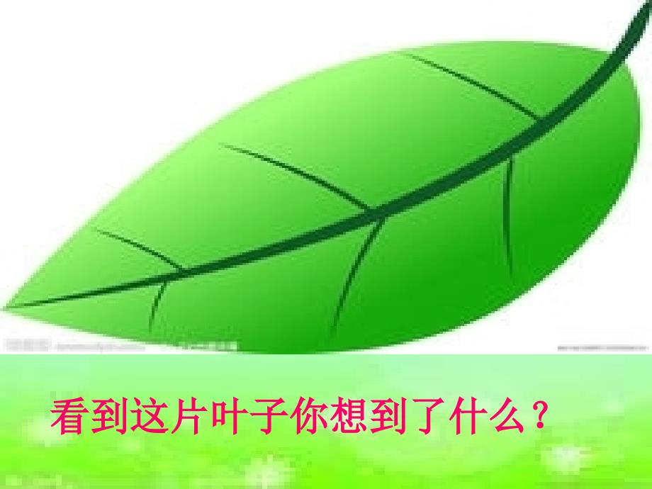 绘本-一片叶子落下来ppt课件_第1页