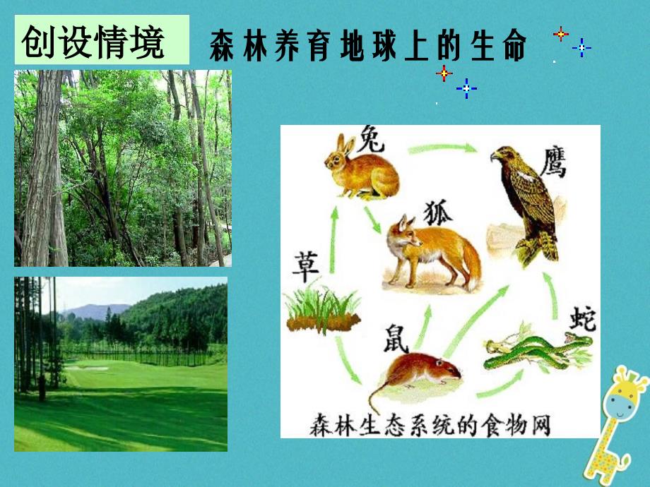 七年级生物上册第三单元第六章爱护植被绿化祖国课件新版新人教版_第4页