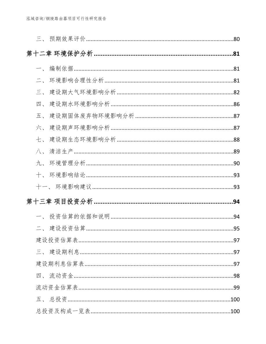 铜陵路由器项目可行性研究报告_第5页