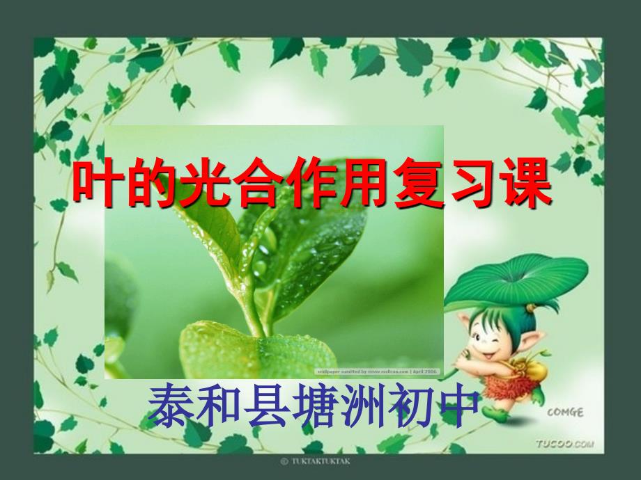 生物叶的光合作用.ppt_第1页