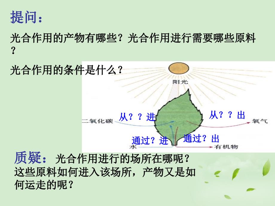 生物叶的光合作用.ppt_第3页