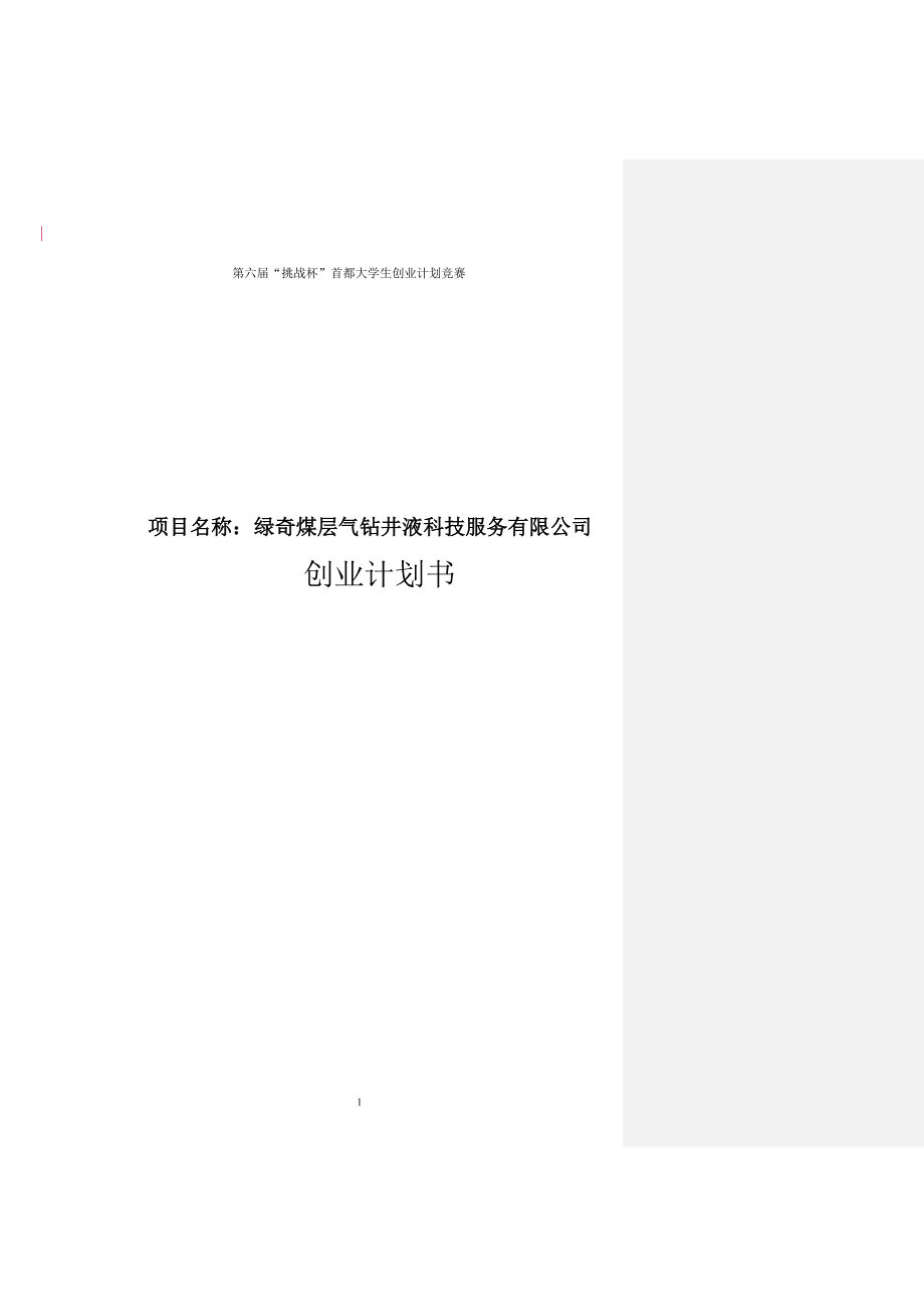 绿奇煤层气钻井液科技服务有限公司可行性研究报告.doc_第1页