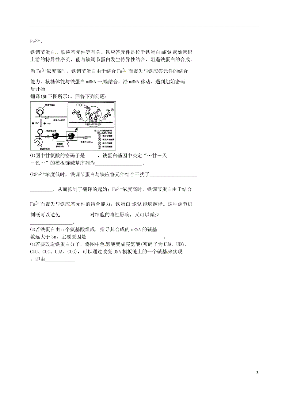 北京市高考生物一轮复习例题讲解专题遗传信息的表达学案无答案.doc_第3页