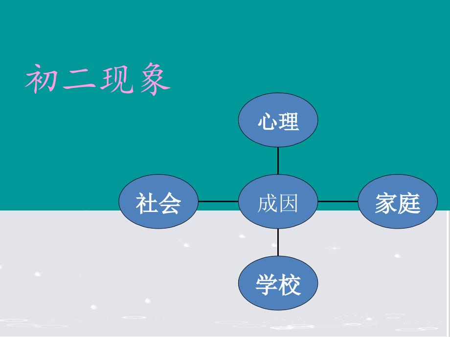 初二现象2资料课件_第4页