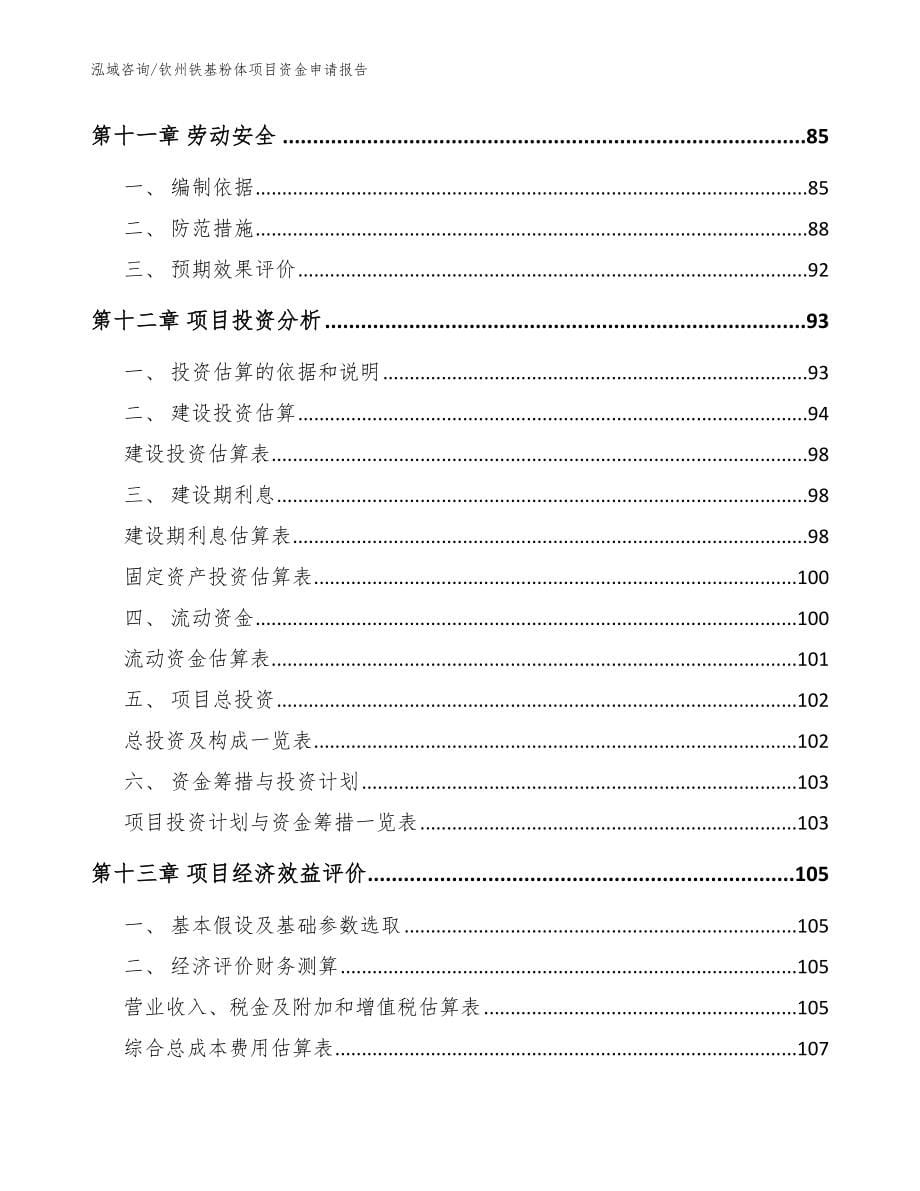 钦州铁基粉体项目资金申请报告（范文）_第5页