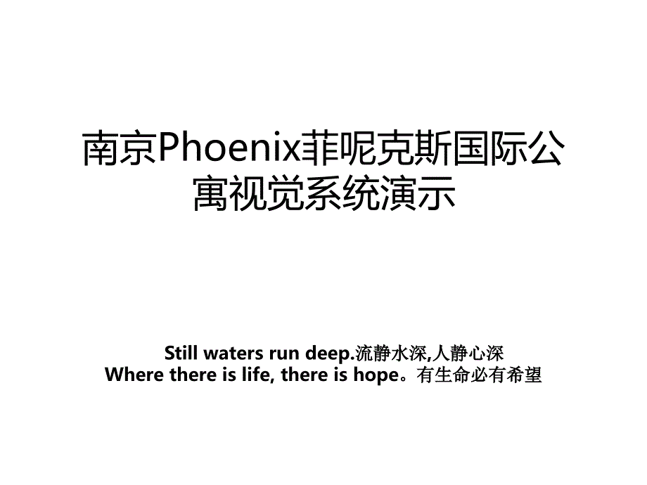 南京Phoenix菲呢克斯国际公寓视觉系统演示_第1页