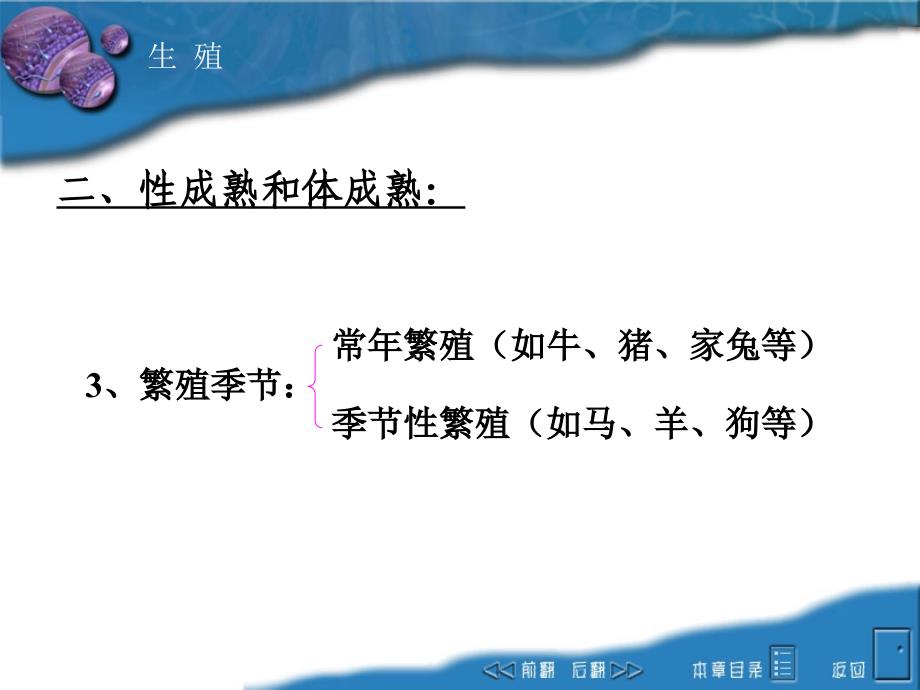 动物生理学课件：12 第十一章 生殖_第4页