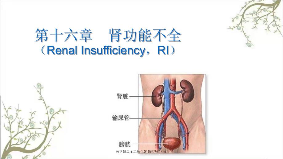 医学超级全之病生016肾功能不全_第1页