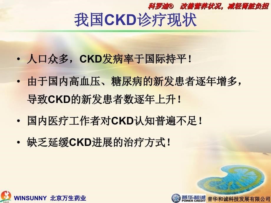 最新科罗迪与肾脏代谢PPT文档_第5页