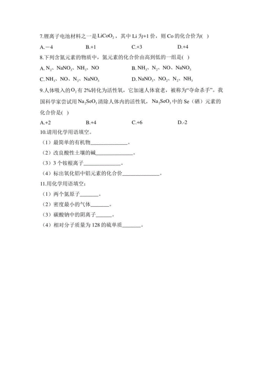 2023届中考化学一轮复习 专项训练四化学用语与化合价_第2页