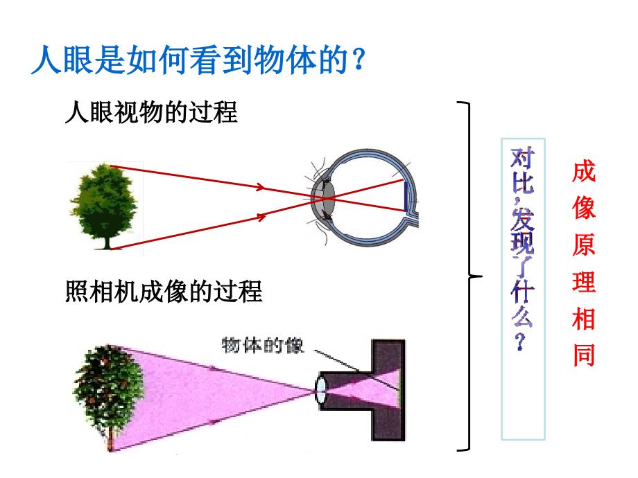 54眼睛和眼镜_第4页