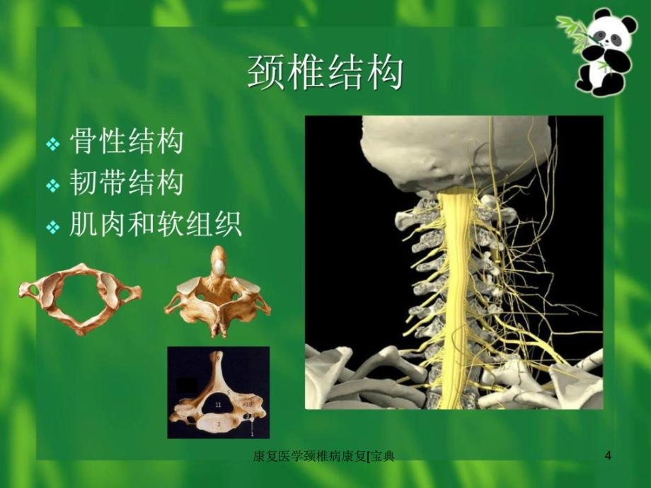 康复医学颈椎病康复宝典课件_第4页