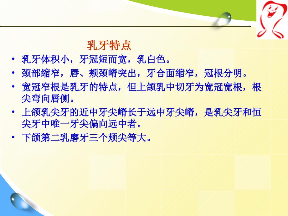 口腔解剖生理学——乳牙的解剖形态_第4页