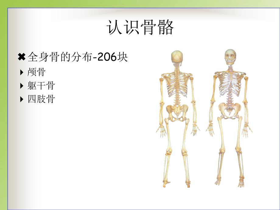 人体解剖生理学王雁版课件_第3页