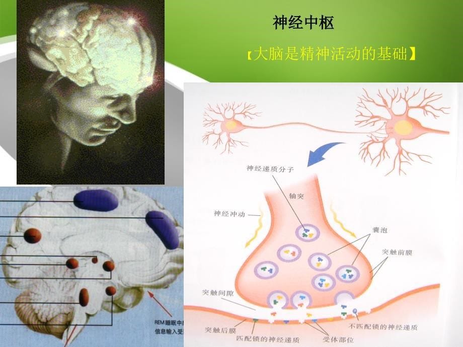 情绪恶劣及相关问题概述_第5页