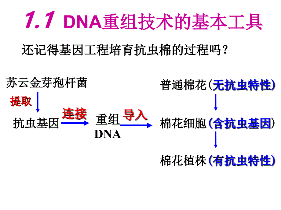 11《DNA重组技术的基本工具》课件用_第3页