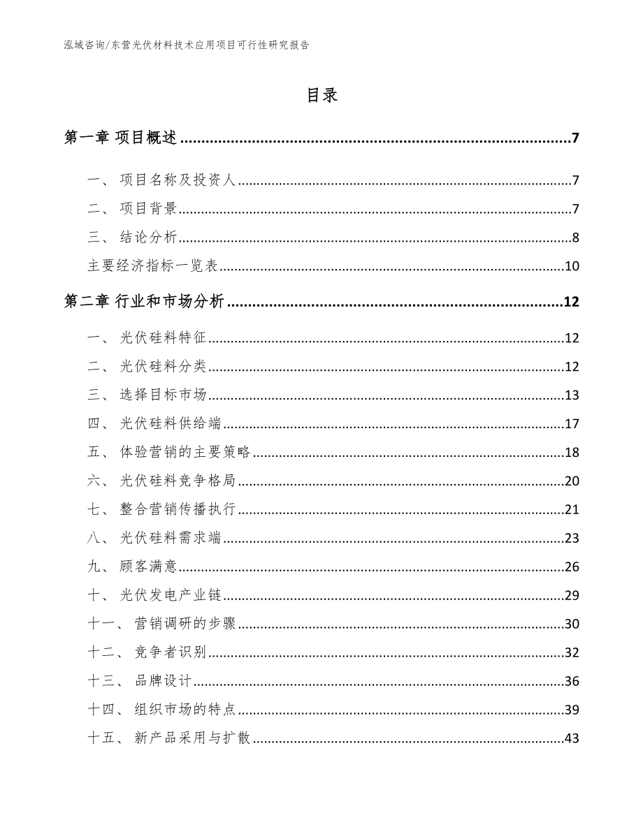 东营光伏材料技术应用项目可行性研究报告【参考范文】_第2页