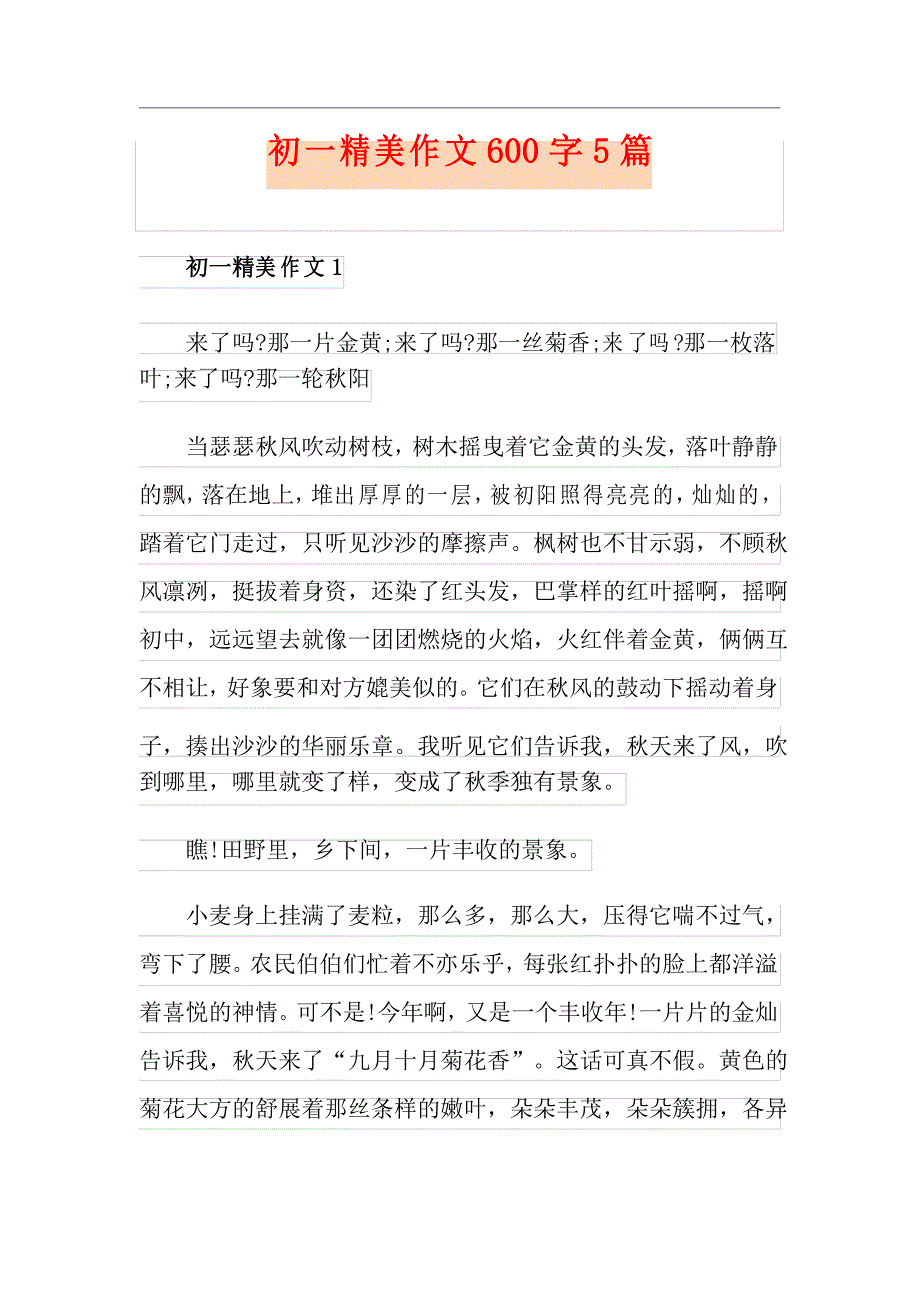 初一精美作文600字5篇_第1页