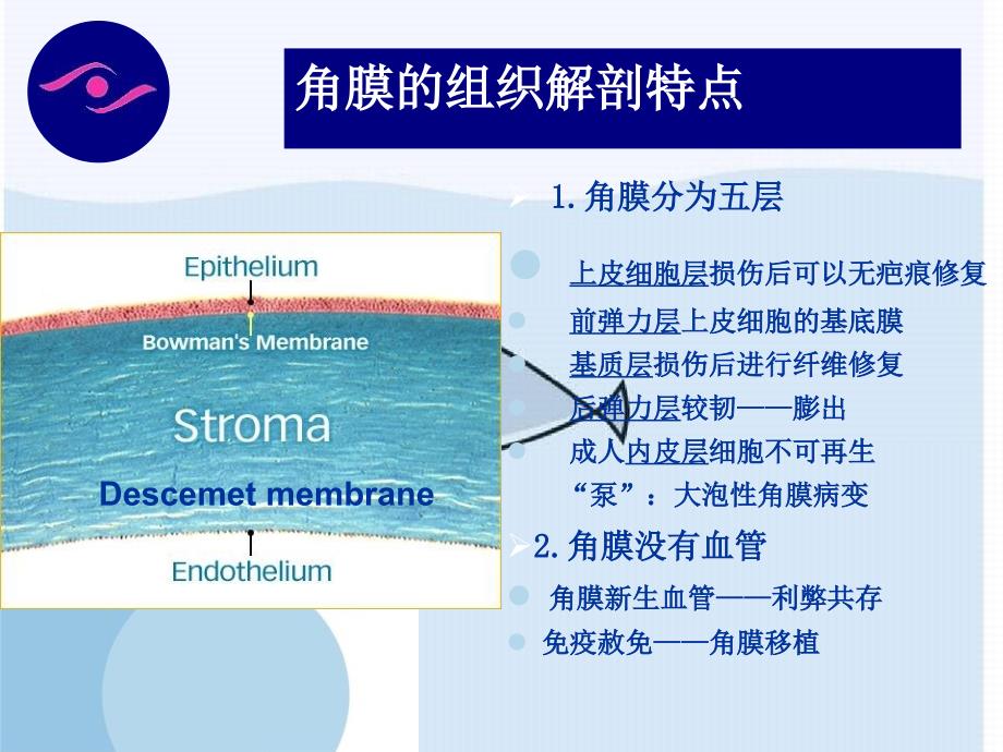 《角膜病讲义》课件_第4页