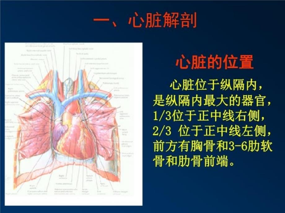 最新心脏超声诊断1PPT课件_第4页